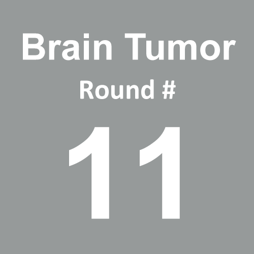 Brain Tumor/Cancer - Round 11