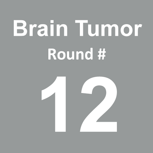 Brain Tumor/Cancer - Round 12