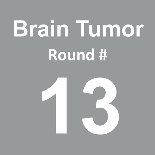 Brain Tumor/Cancer - Round 13