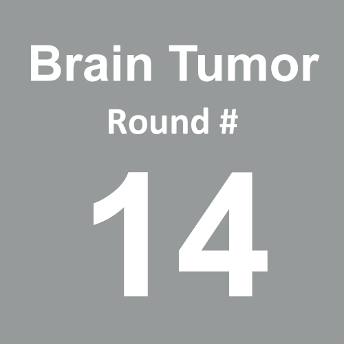 Brain Tumor/Cancer - Round 14