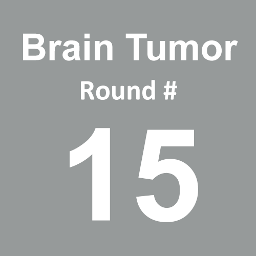 Brain Tumor/Cancer - Round 15