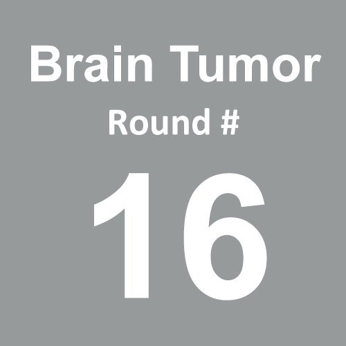 Brain Tumor/Cancer - Round 16