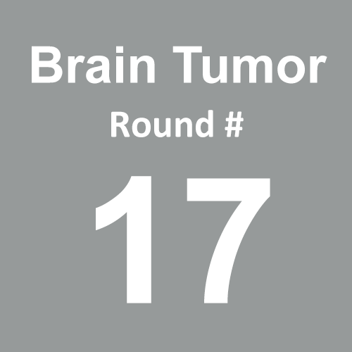 Brain Tumor/Cancer - Round 17
