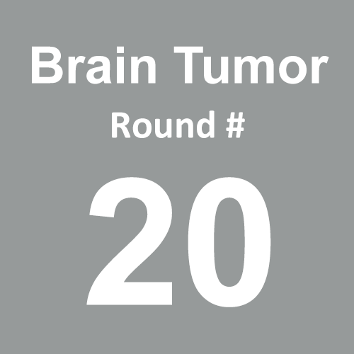 Brain Tumor/Cancer - Round 20